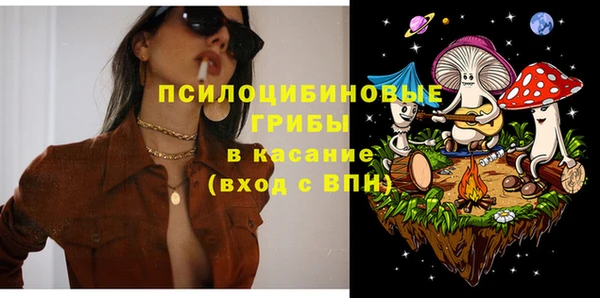 амф Пестово