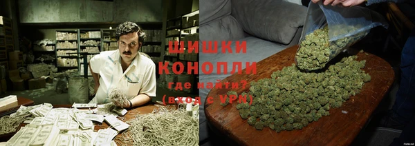 амф Пестово
