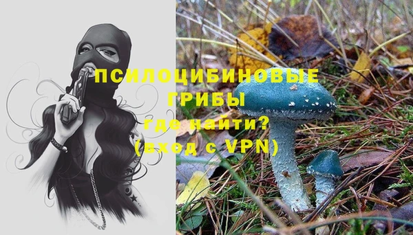 дурь Алзамай