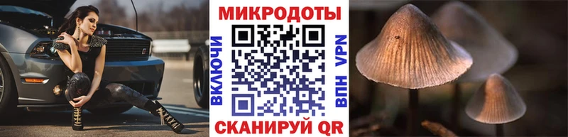 сколько стоит  Осташков  Псилоцибиновые грибы мухоморы 